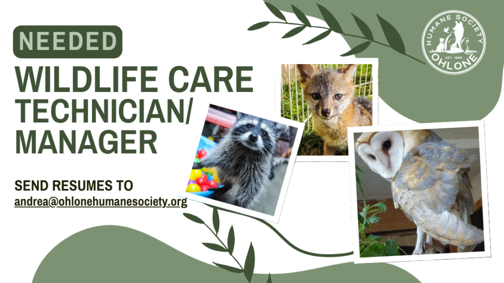 WRC Job Posting Care Technician