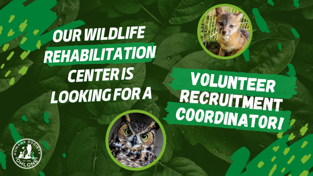 WRC Volunteer Recruitment Coordinator